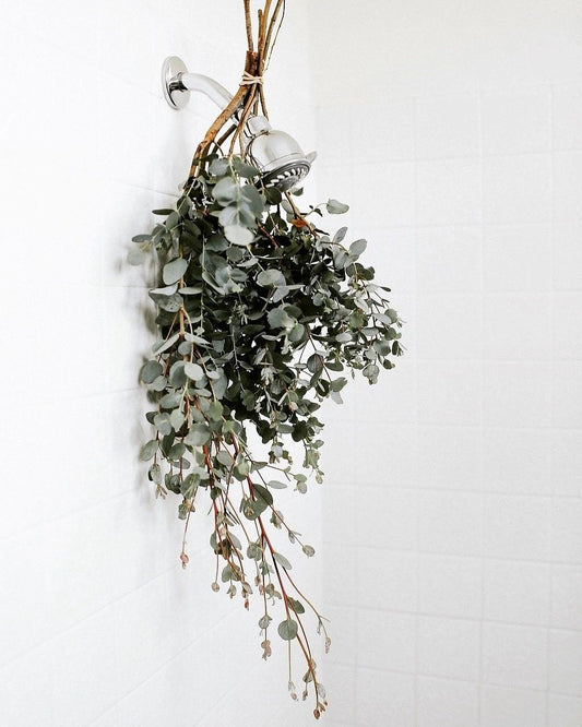 Eucalyptus Shower Bouquet - Organically Bath & Beauty